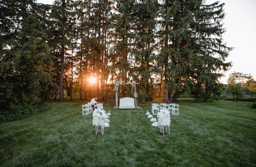 Decorated entry and seating at a sunset ceremony among pines